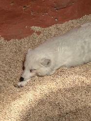 -Zoolung Zoolung动物主题公园(海信广场店)