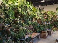-自由生长植物工作室(深港花卉中心店)