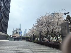 -苏州现代传媒广场商业
