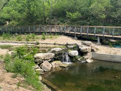 -白水寺森林公园