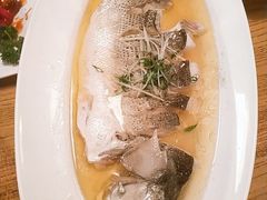 非一般的海鲈鱼-热度餐厅(老佛爷店)