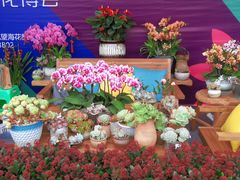 -重庆市江北嘴中央商务区中央公园