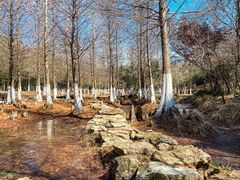 -南京市无想山景区