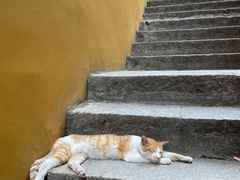 -宝通禅寺