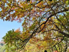 -少华山国家森林公园
