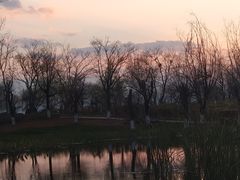 -呈贡滇池生态湿地公园