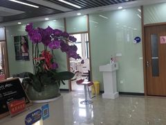 -茂菊口腔连锁(浦东南路店)