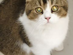 -平行世界·猫咖(首经贸店)