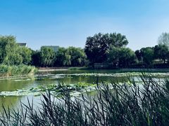 -三忘湖 SWANSEEN(柳荫公园店)