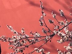 -钱王祠
