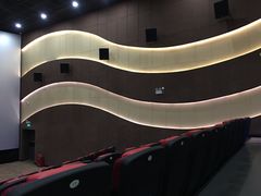 -金影星汇国际影城(石岩星城店)