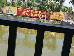 -润记农家菜