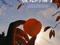 -洛阳市隋唐城遗址植物园