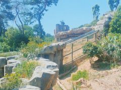 -宁波野生动物园