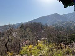 -北京鹫峰国家森林公园