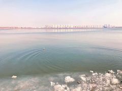 -天津东丽湖风景区