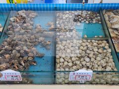 水产区-渔家乐小海鲜(皇姑店)