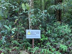 -广州市石门国家森林公园