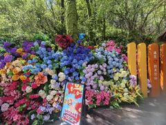 -秦岭天竺山生态文化旅游景区