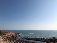 -广东惠东海龟国家级自然保护区