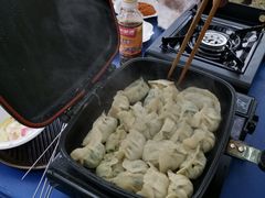 -桤木河湿地公园