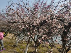-白塘生态植物园