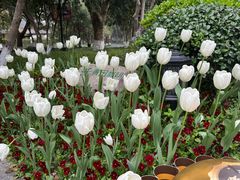 -杭州花家山庄