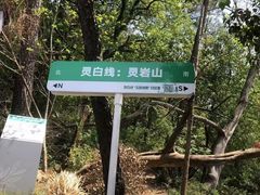 -灵岩山风景区