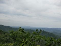 -天女山森林公园
