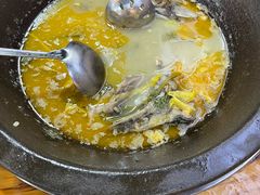 -大鼎石锅鱼(春江里店)