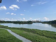 -风云岭森林公园