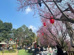 -秀丽东方