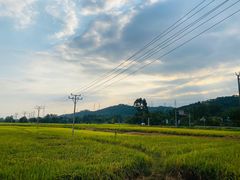 -竹海听涛生态山庄