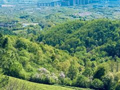 -敬亭山风景名胜区