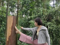 -凤栖山