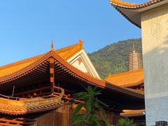 -深圳仙湖植物园