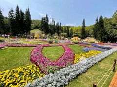 -深圳仙湖植物园