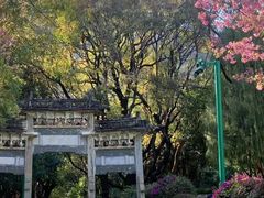 -蝴蝶泉公园