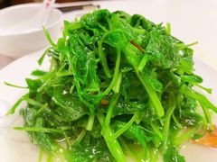 清炒豆苗-鼎泰丰(渔阳店)