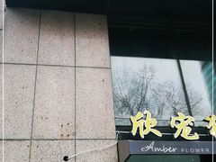 -欣宠猫屋·矮脚拿破仑·蓝金金渐层