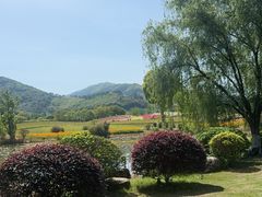 -径山花海