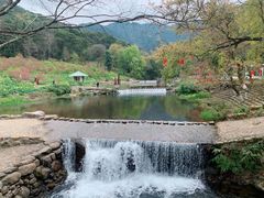 -广州市石门国家森林公园
