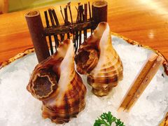 生海螺-酒吞(七宝领展广场店)