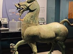 -广西壮族自治区博物馆