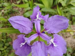 -白鹭湾湿地公园