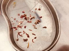 -北京赛佳动物医院