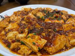 麻辣豆腐-春發合饭庄