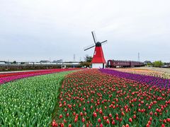 -菊园百果园