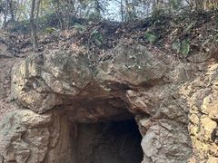 -上海佘山国家森林公园天马山园