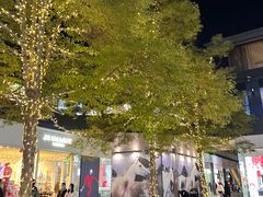 -Apple零售店(成都太古里店)